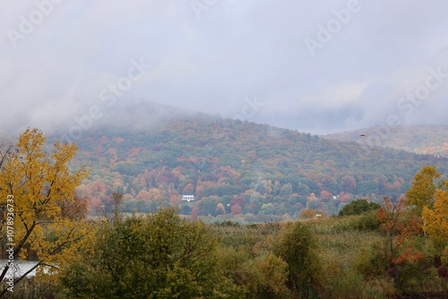 landscape with fog