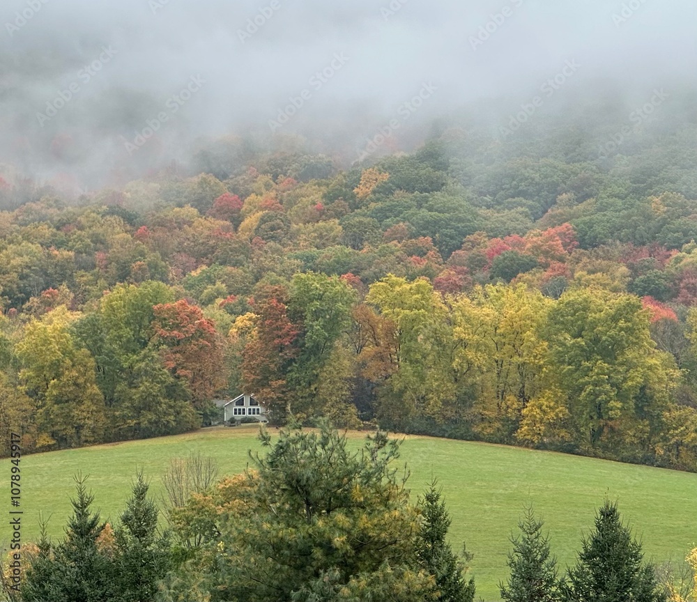 Obraz premium Morning Mist By the Mountain