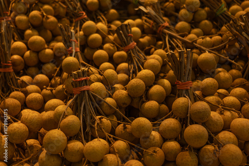 Close-up of the background is a large bunch of fresh longan fruits gathered in bunches tied with a rope. Food Market photo