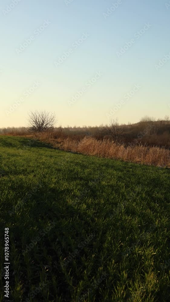 A Serene Countryside Landscape at Dusk, showcasing the calm beauty of nature under the twilight sky A Serene Countryside Landscape at Dusk, showcasing the calm beauty of nature under the twilight sky