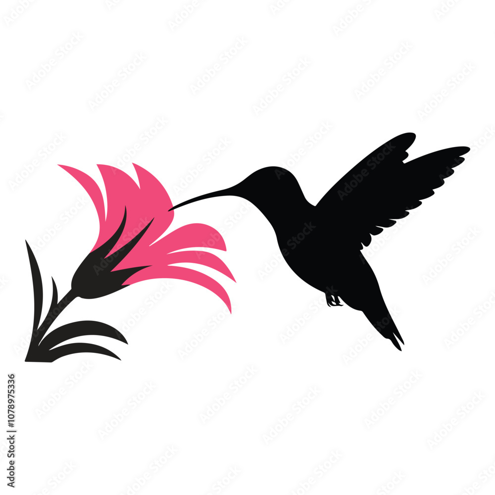 Obraz premium Black hummingbird vector silhouette