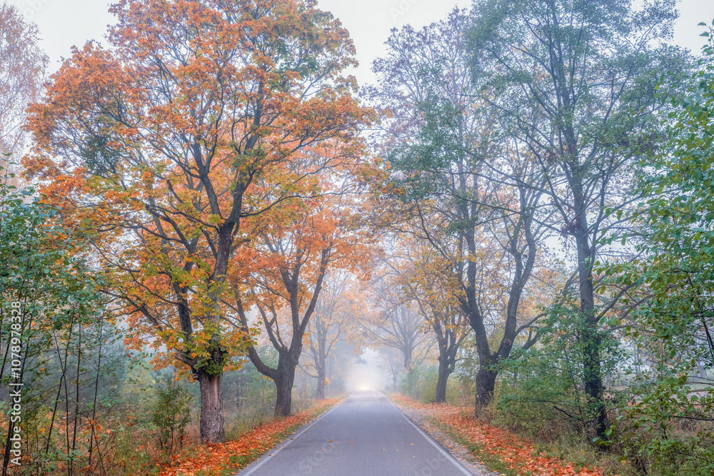 Obraz premium Jesień na Warmii.