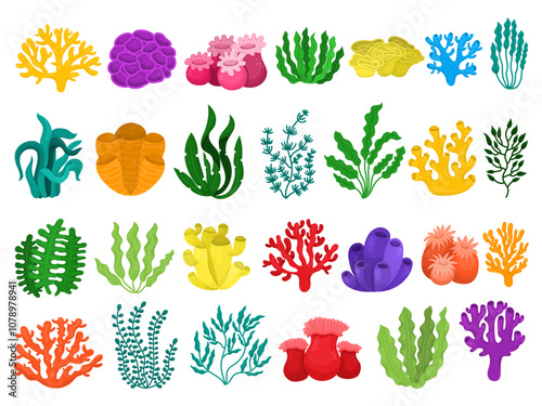 Large set with cartoon set of different types of corals and algae, underwater reef colorful on white background, illustration