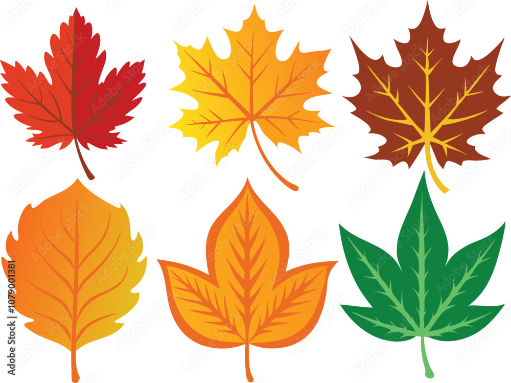 Vector Icon Set of Maple Leaves in Autumn Colors on White Background Vector Icon Set of Maple Leaves in Autumn Colors on White Background