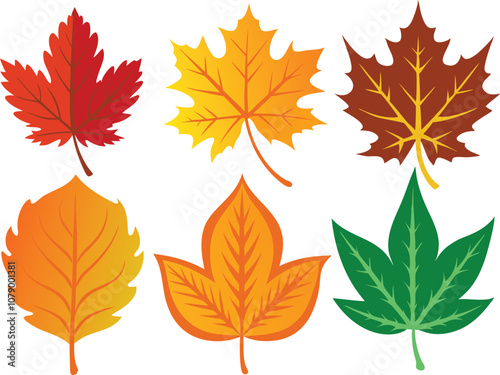 Vector Icon Set of Maple Leaves in Autumn Colors on White Background