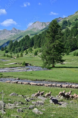 Paysage du Mercantour, Alpes de haute Provence