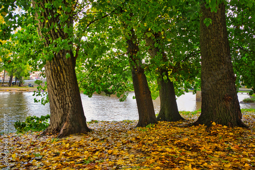 The Alberche River as it passes through Navaluenga, in the province of Ávila, Spain, in autumn. photo