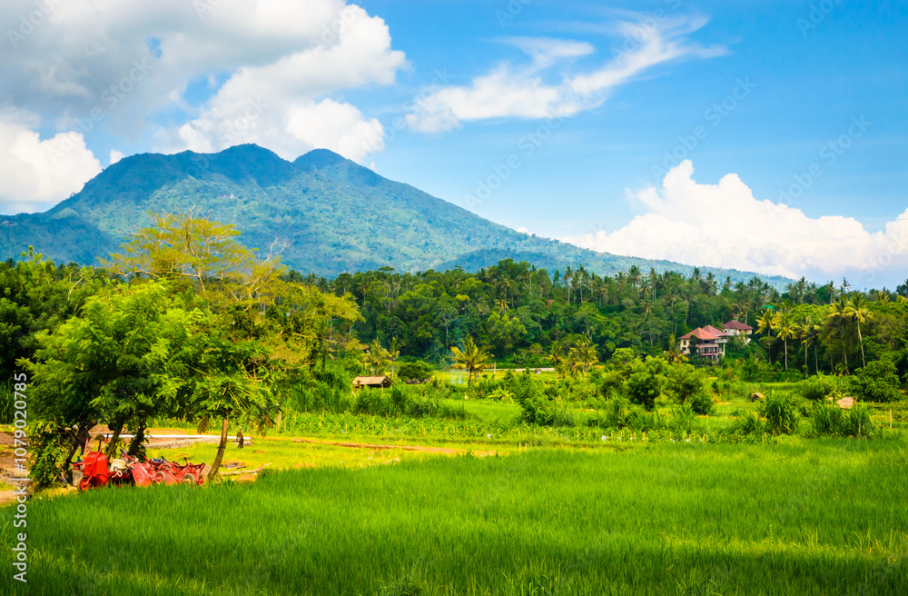 Beautiful Bali rice fields and volcano. Rice terraces in Bali, Indonesia