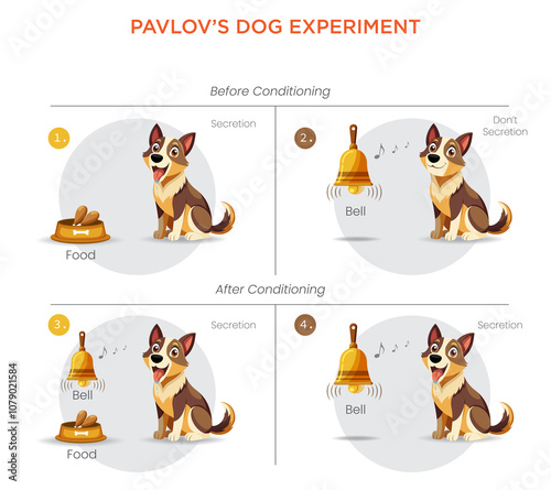 Pavlov’s Dog Experiment Understanding Classical Conditioning and Behavioral Responses