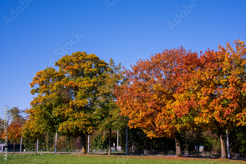 Riehen, Switzerland, is stunning in autumn, with vibrant foliage turning parks, woodlands, and riverbanks into a colorful display. A perfect time for scenic walks and photography.