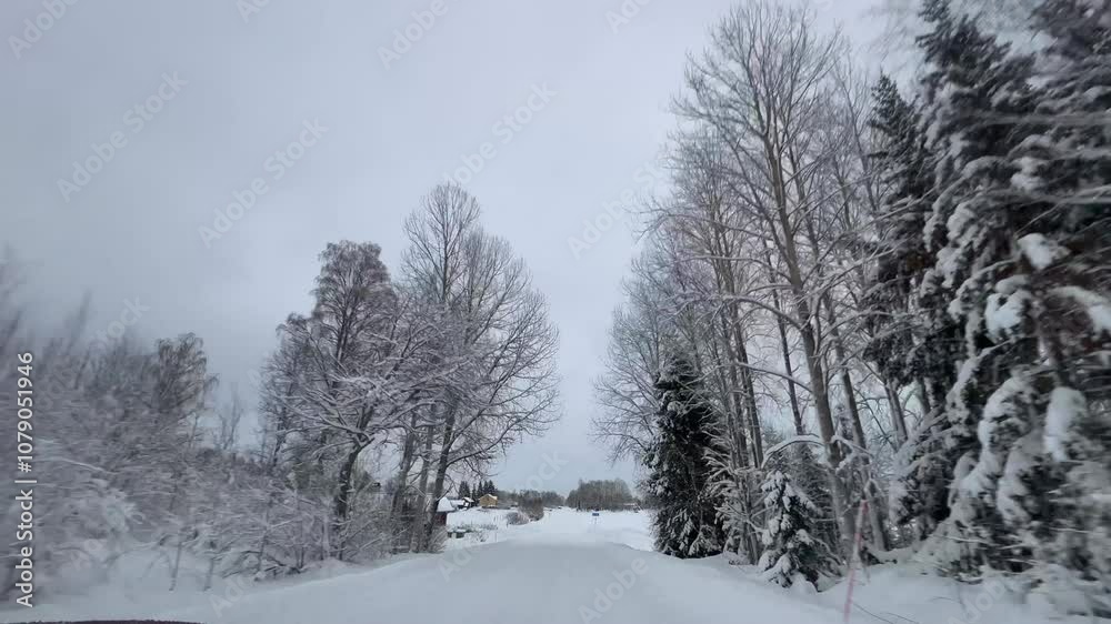 Walk through the forest, path full of snow. Walk through the forest, path full of snow.