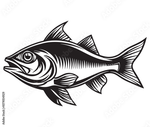 Sea cod fish on a white background, Tuna fish silhouette vector illustration, Sea fish silhouette icon