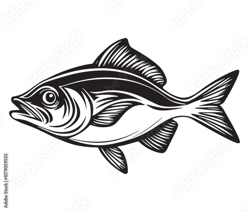 Sea cod fish on a white background, Tuna fish silhouette vector illustration, Sea fish silhouette icon