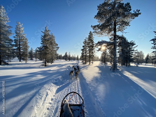 Romantische Husky Schlittenfahrt durch das verschneite Lappland, Finnland bei strahlend blauem Himmel und Sonnenschein photo