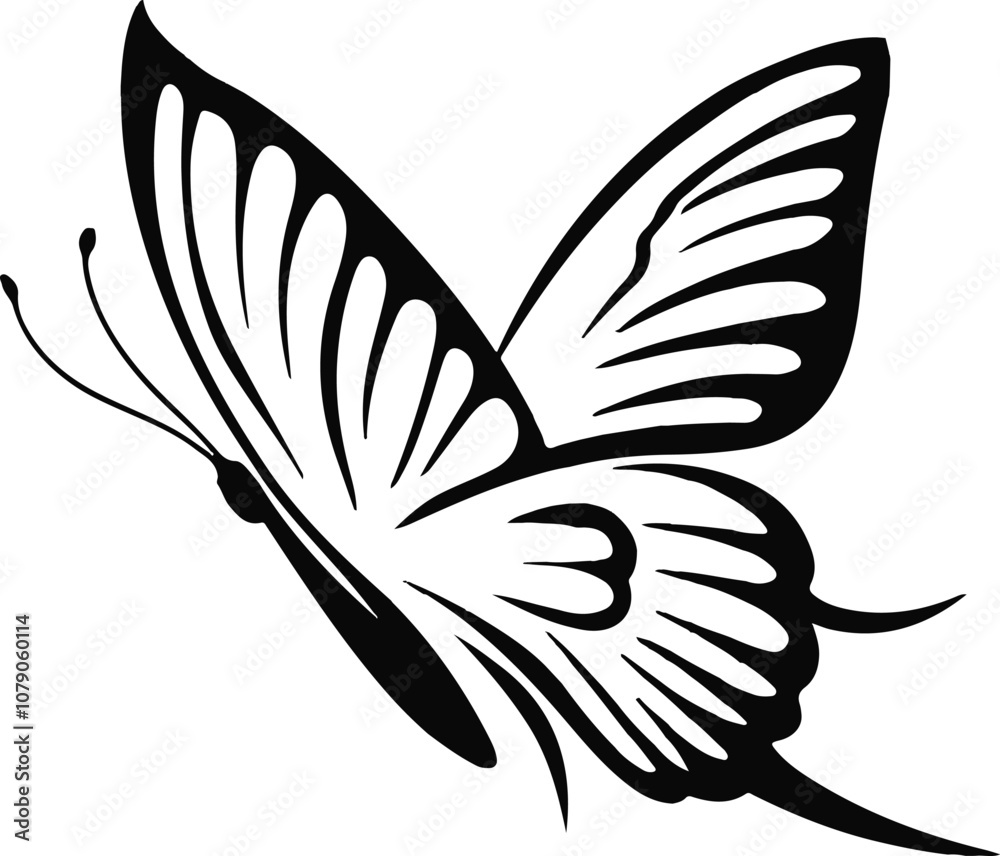 Black line art of a butterfly bundle for kids coloring book coloring page doodle art in white background Black line art of a butterfly bundle for kids coloring book coloring page doodle art in white background