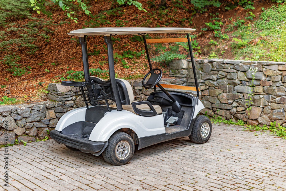 A white golf cart is parked on the street.
