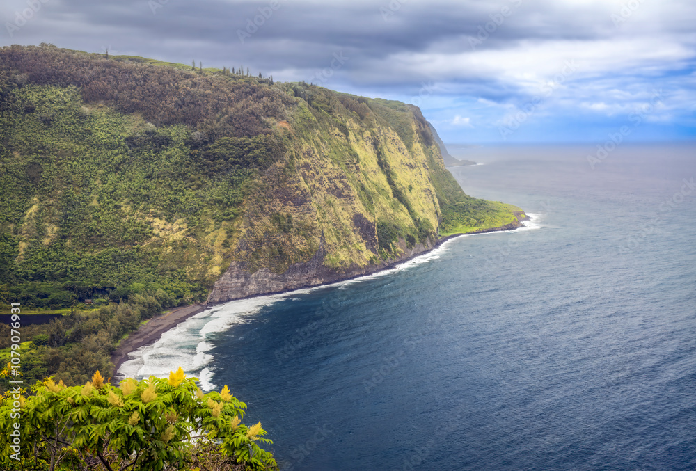 Obraz premium Pacific Ocean waves break on the beach of the Waipo Valley, on the Hamakua Coast of the Big Island of Hawaii, the boyhood home of Kamehmeha I, the first King of a united Hawaii.