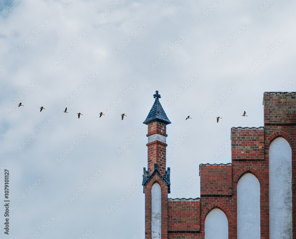Fototapeta premium Birds Flying Over Historic Church Tower