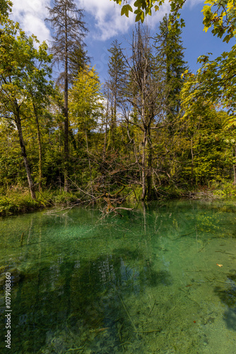 Nationalpark Plitvitzer Seen - Kroatien photo