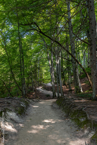 Nationalpark Plitvitzer Seen - Kroatien photo