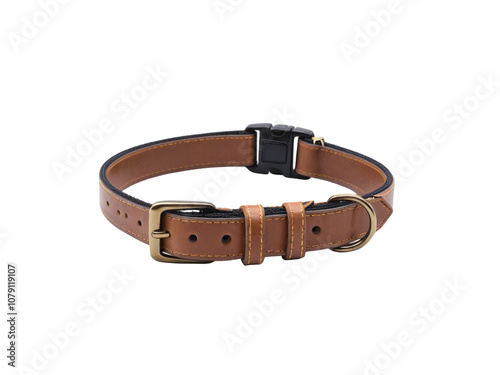 Elegant Teal Dog Collar with Golden Hardware on Transparent Background photo