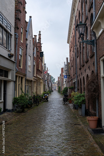 Small alley with green plants in the old town of Alkmaar in the Netherlands