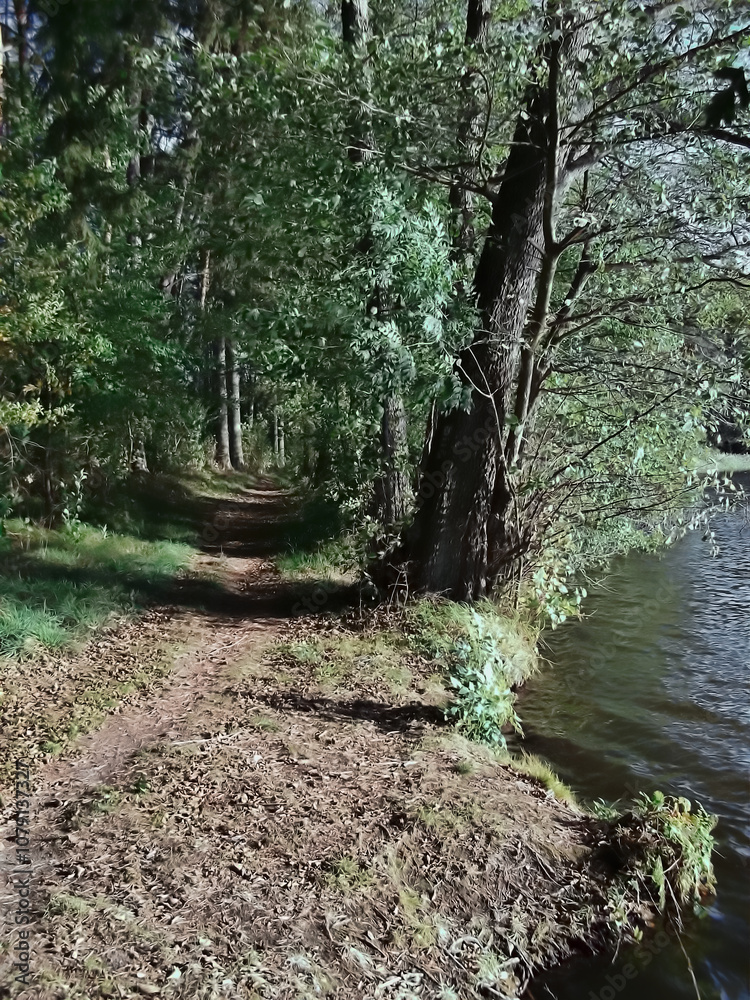 Der Uferweg im Herbst am Templiner Stadtsee