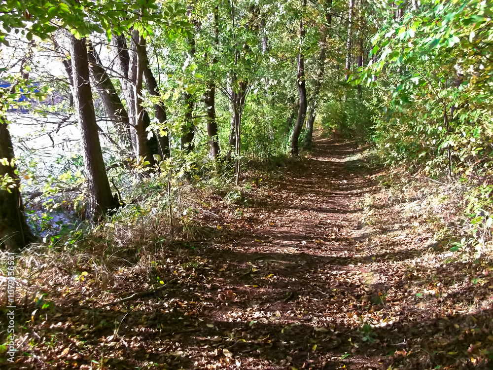 Der Uferweg im Herbst am Templiner Stadtsee