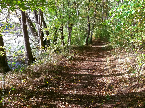 Der Uferweg im Herbst am Templiner Stadtsee photo