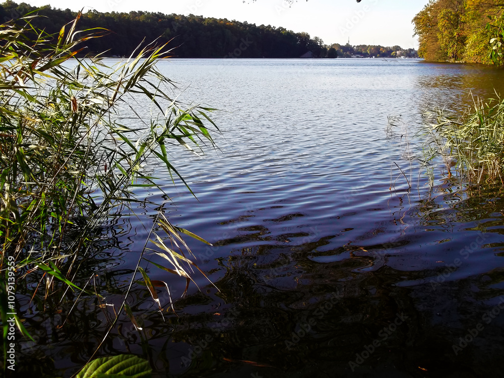 Ein See am Morgen im Herbst in der Uckermark