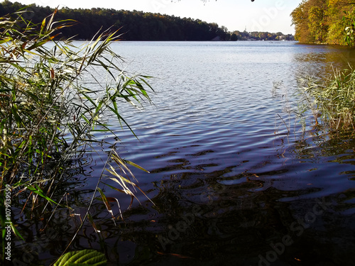 Obraz na płótnie Ein See am Morgen im Herbst in der Uckermark w salonie