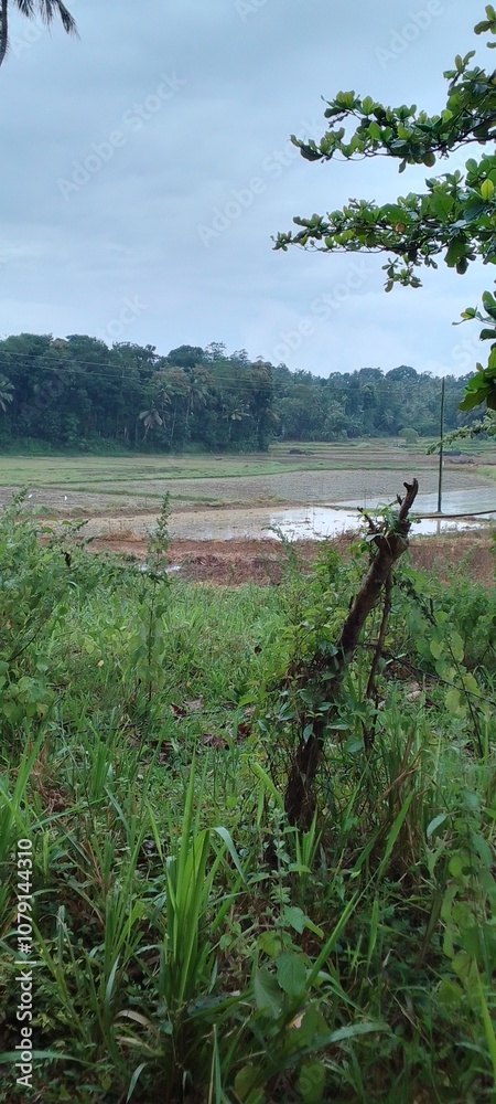 Obraz premium fence in the field