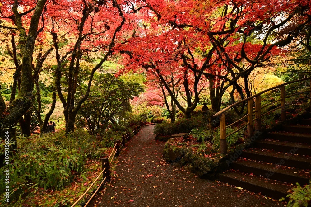 Naklejka premium Vibrant autumn garden with colorful foliage and a serene pathway in a lush park