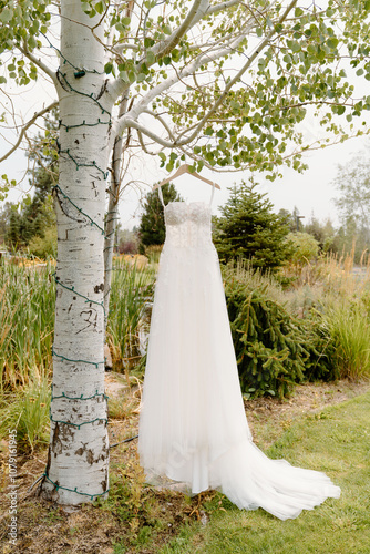 Wedding Dress in the Aspens