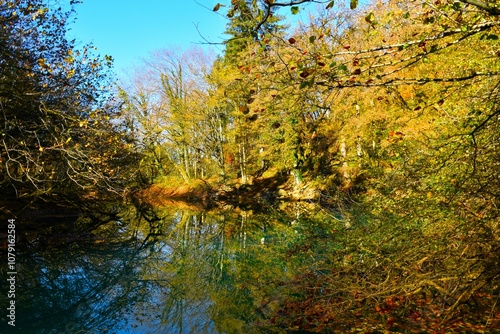 Stržen river at Cerkniško jezero with a reflection of autumn foliage in the water in Notranjska, Slovenia photo