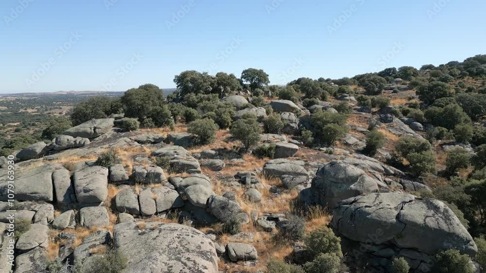 Landscape of large rocks with holm oak trees in the mountains of Castilla Leon, Avila, Spain. Landscape of large rocks with holm oak trees in the mountains of Castilla Leon, Avila, Spain.