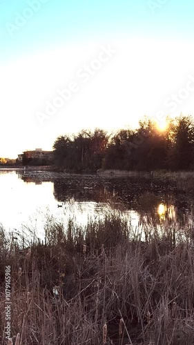 Golden sunlight bathes a wetland scene at sunset, reflecting off calm water surrounded by cattails and reeds. The soft light and warm tones create a serene and picturesque natural atmosphere.