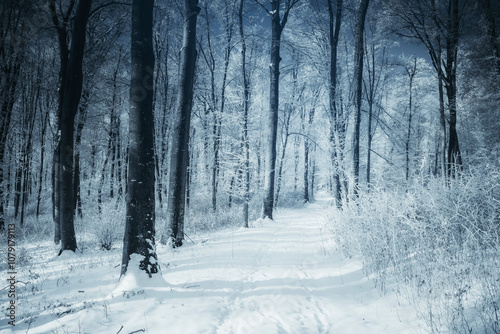 snow covered road in winter...