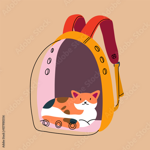 The cat is sitting in a backpack. Transparent pet carrying and transportation bag.