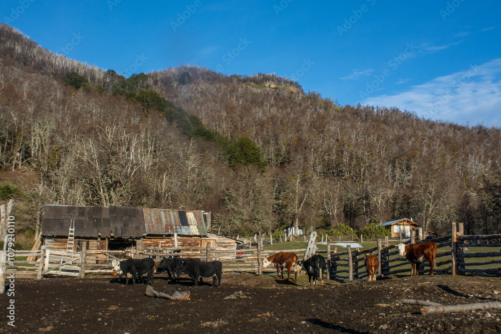Obraz premium village in the mountains