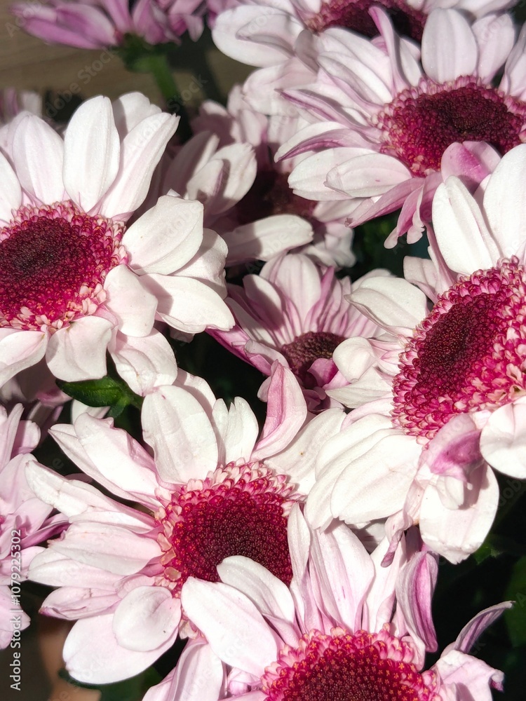 bouquet of flowers bouquet of flowers