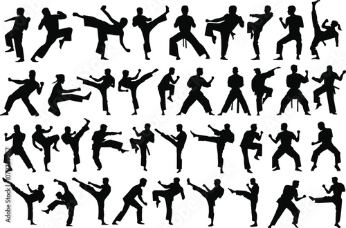 Karate silhouette vectors. Silhouettes of karate martial art vector illustrations.