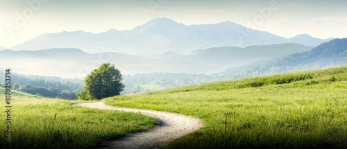 A dirt road in the middle of a grassy field with mountains in the background