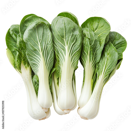 Fresh bok choy with vibrant green leaves against a clean transparent background for culinary uses, Bok choy vegetable on transparent transparent background