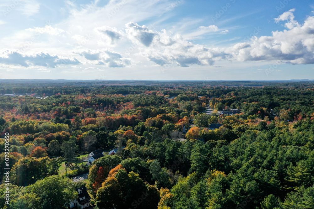 Obraz premium New England foliage