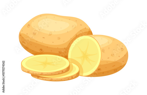 Group of potatoes in cartoon style. Vector illustration of fresh, tasty potato whole and cut in half, slices isolated on white background. Healthy food. Vegetables. Harvest. Root crops.Young potatoes.