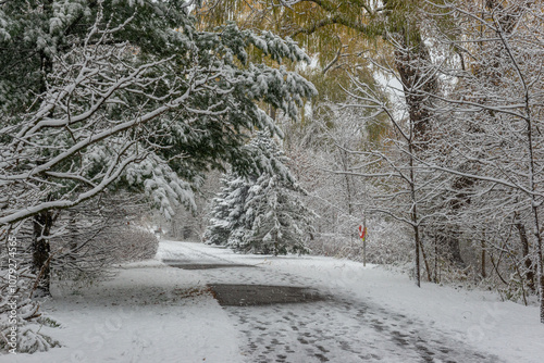 Canvas Print Trail in winter park