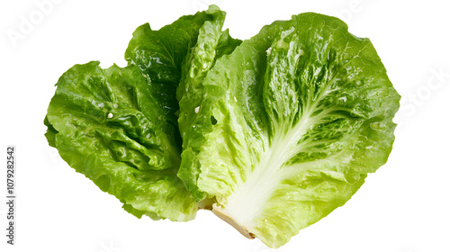 Classic Caesar salad with romaine lettuce and croutons on a white background photo