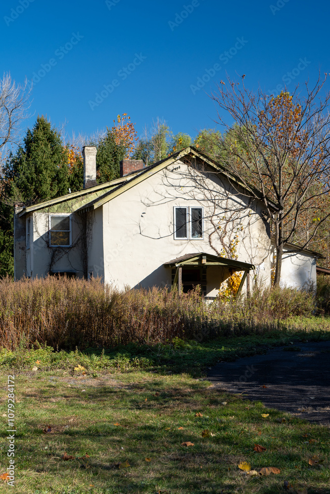 Fototapeta premium old house in the woods
