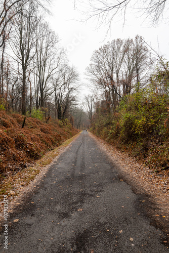 country road in autumn